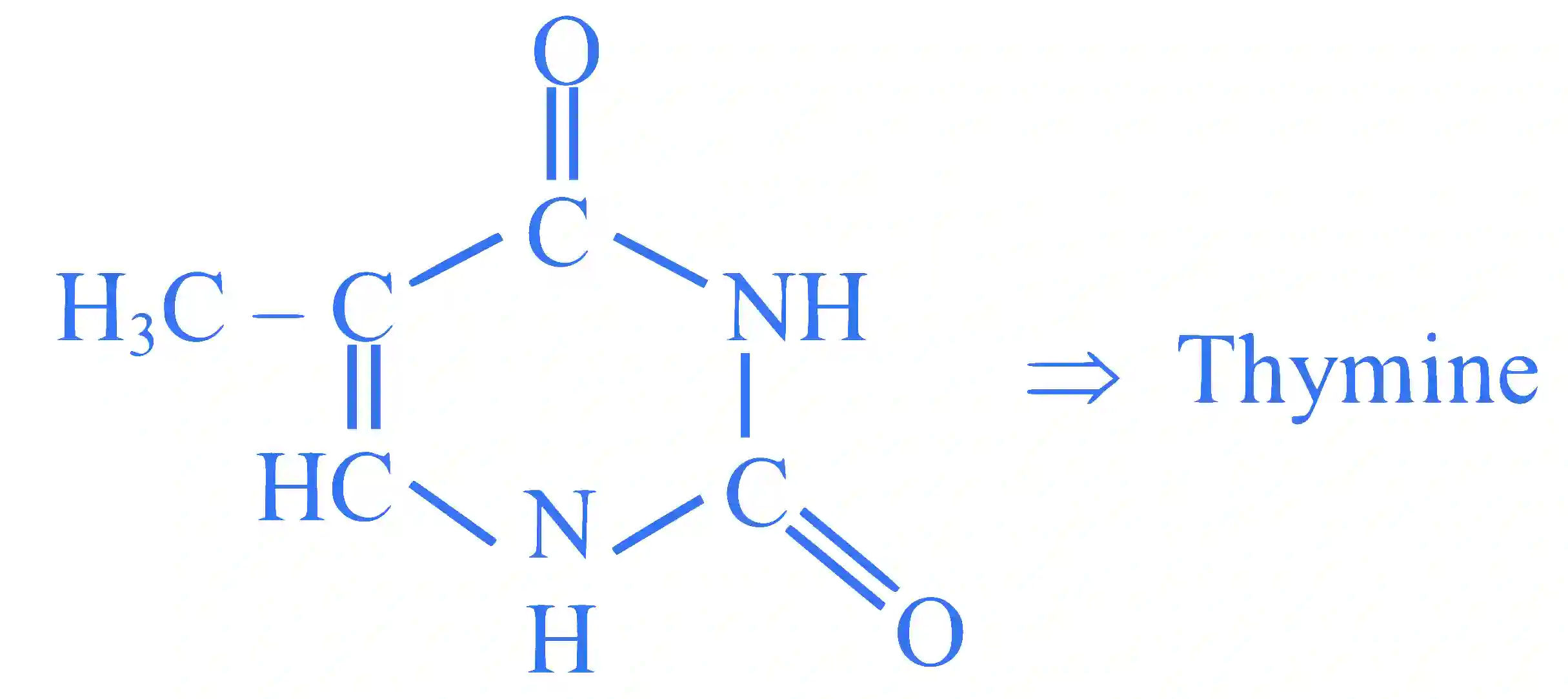 JEE Main 2024 (Online) 6th April Morning Shift Chemistry - Biomolecules Question 12 English Explanation 2