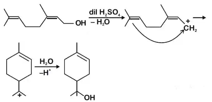JEE Main 2020 (Online) 8th January Morning Slot Chemistry - Alcohols, Phenols and Ethers Question 120 English Explanation