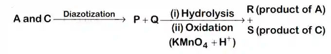 JEE Main 2020 (Online) 3rd September Evening Slot Chemistry - Compounds Containing Nitrogen Question 161 English 1