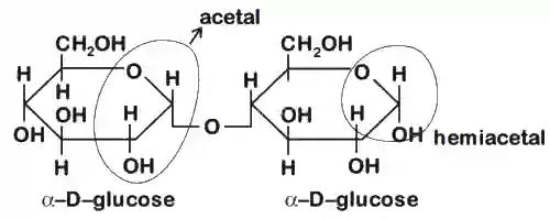 JEE Main 2020 (Online) 4th September Morning Slot Chemistry - Biomolecules Question 115 English Explanation