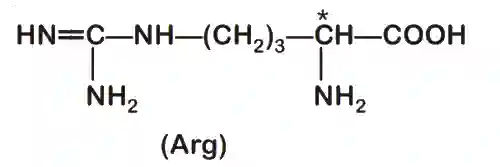 JEE Main 2020 (Online) 5th September Morning Slot Chemistry - Biomolecules Question 112 English Explanation 2