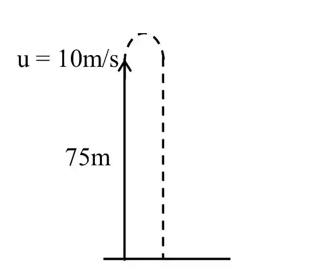 JEE Main 2021 (Online) 25th July Evening Shift Physics - Motion in a Straight Line Question 61 English Explanation