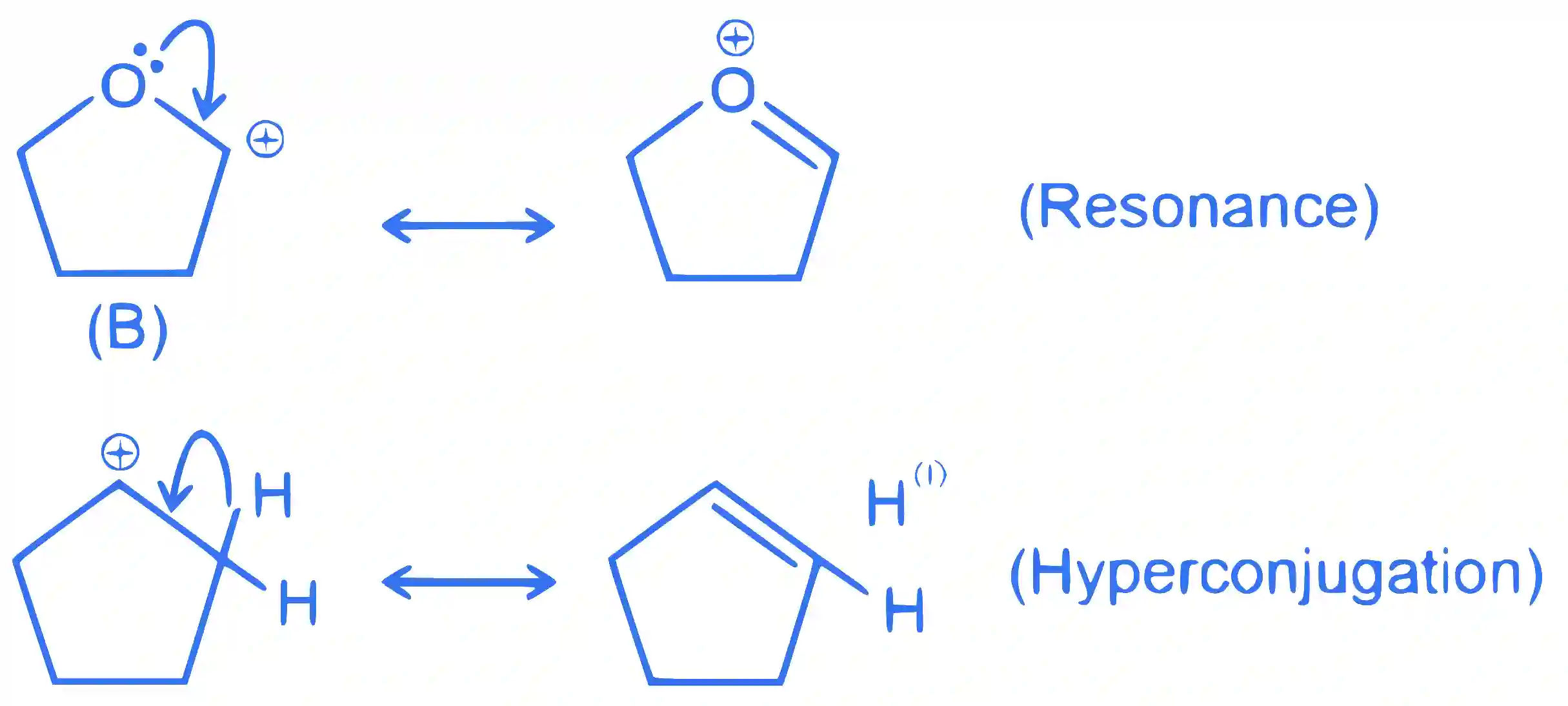 JEE Main 2022 (Online) 24th June Evening Shift Chemistry - Basics of Organic Chemistry Question 117 English Explanation 2