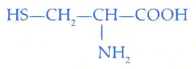 JEE Main 2023 (Online) 8th April Morning Shift Chemistry - Biomolecules Question 36 English Explanation 2