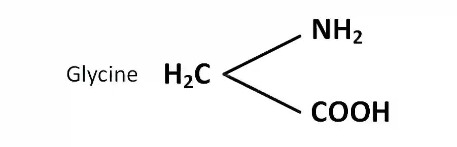 AIEEE 2002 Chemistry - Biomolecules Question 172 English Explanation