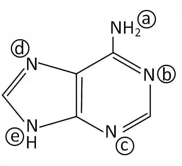 JEE Main 2019 (Online) 11th January Evening Slot Chemistry - Basics of Organic Chemistry Question 190 English