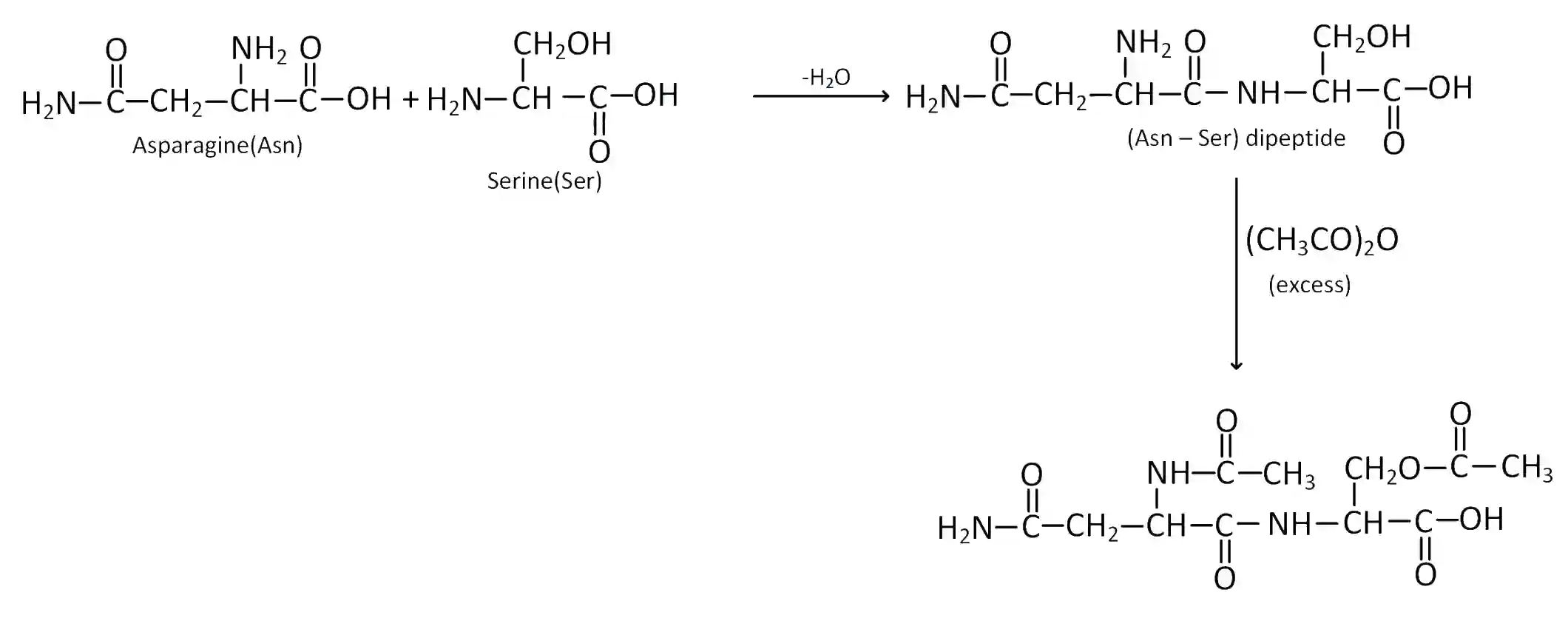 JEE Main 2019 (Online) 10th January Morning Slot Chemistry - Biomolecules Question 139 English Explanation