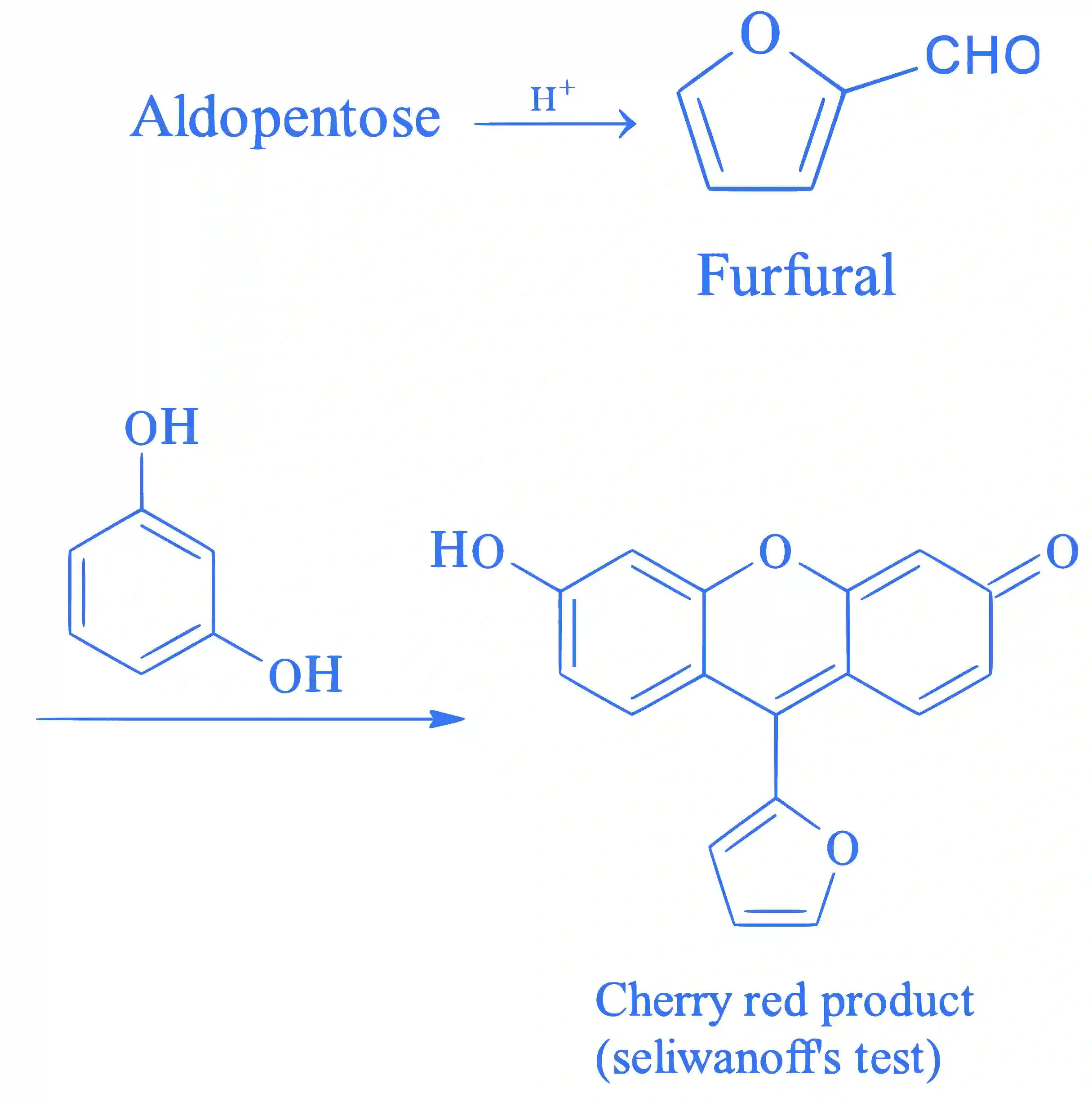 JEE Main 2022 (Online) 27th July Morning Shift Chemistry - Biomolecules Question 63 English Explanation