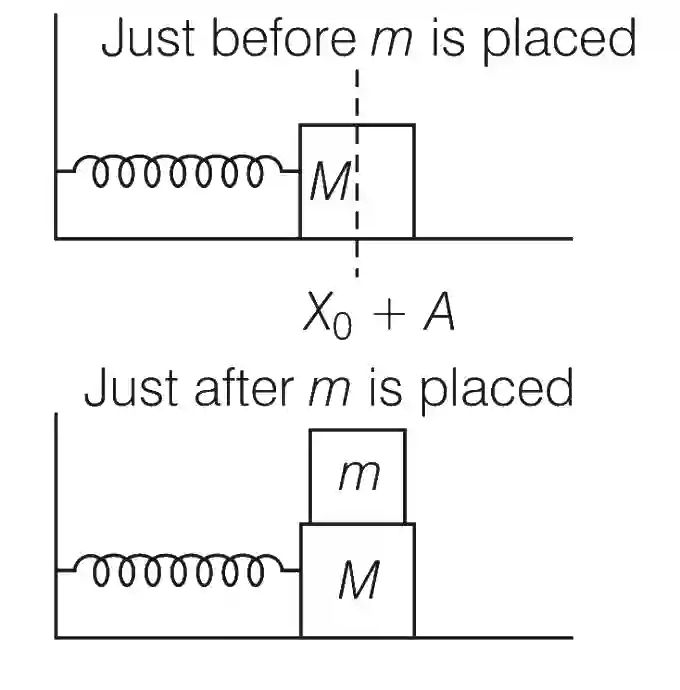 JEE Advanced 2016 Paper 2 Offline Physics - Simple Harmonic Motion Question 19 English Explanation 2