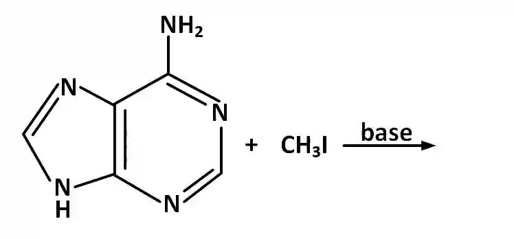 JEE Main 2019 (Online) 8th April Evening Slot Chemistry - Haloalkanes and Haloarenes Question 126 English