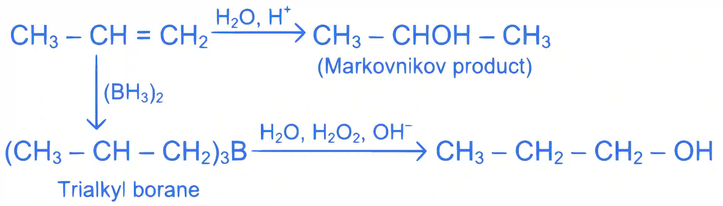 JEE Main 2024 (Online) 9th April Morning Shift Chemistry - Hydrocarbons Question 22 English Explanation