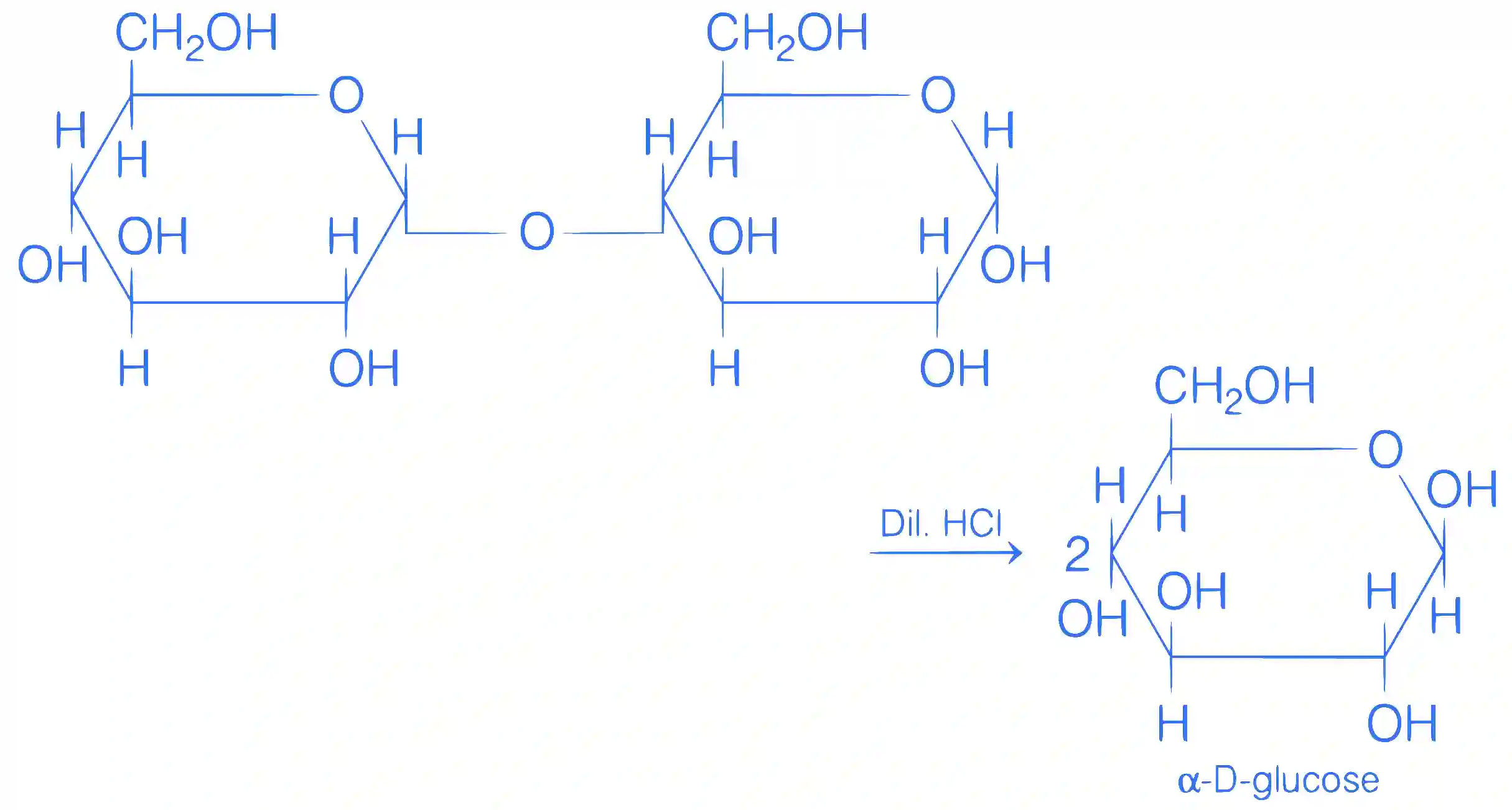 JEE Main 2019 (Online) 8th April Morning Slot Chemistry - Biomolecules Question 132 English Explanation