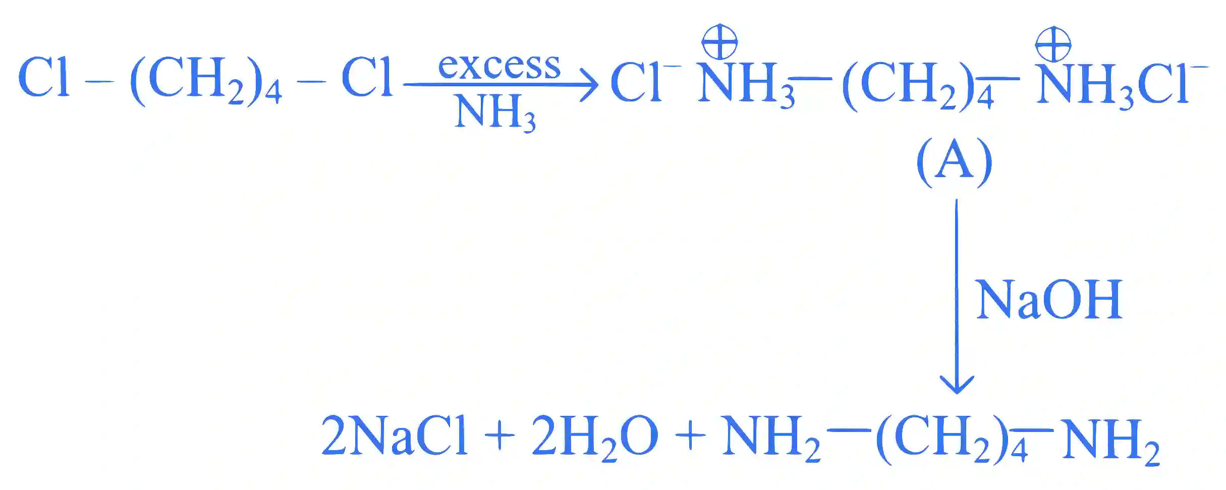 JEE Main 2024 (Online) 27th January Evening Shift Chemistry - Haloalkanes and Haloarenes Question 33 English Explanation