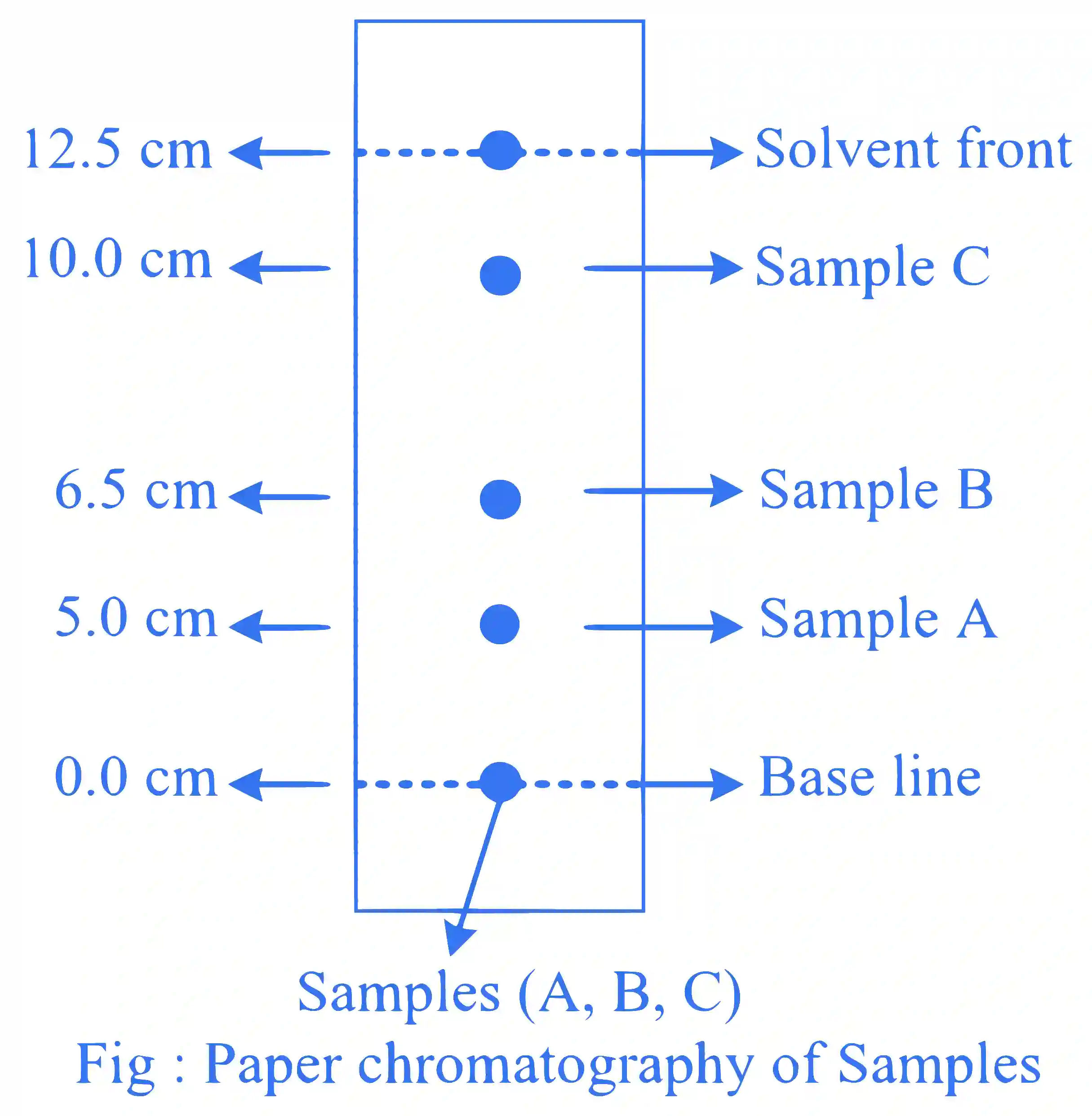 JEE Main 2024 (Online) 5th April Evening Shift Chemistry - Basics of Organic Chemistry Question 23 English