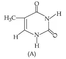 JEE Main 2021 (Online) 27th July Morning Shift Chemistry - Biomolecules Question 90 English