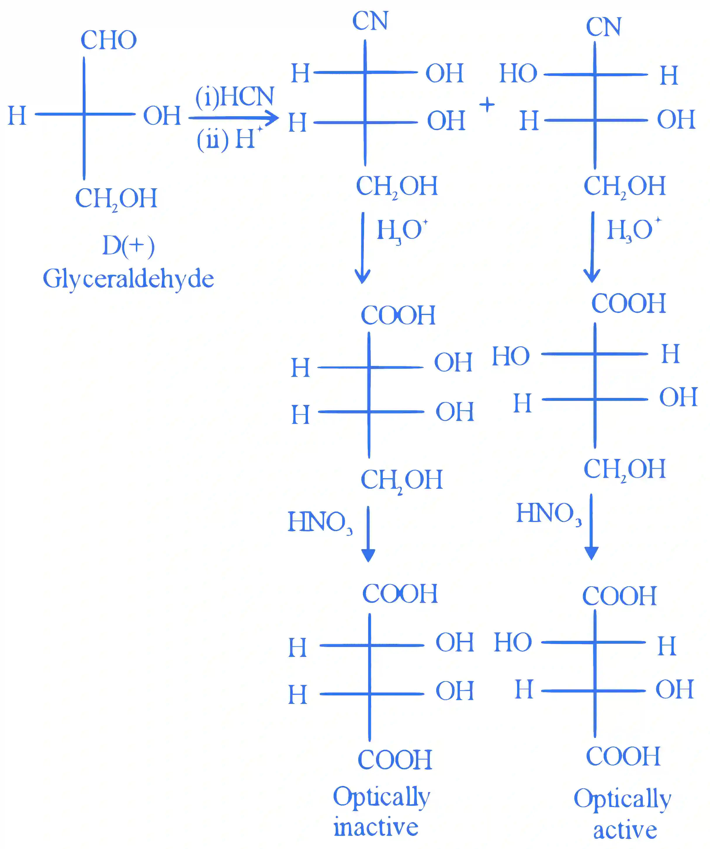 JEE Main 2023 (Online) 13th April Morning Shift Chemistry - Biomolecules Question 42 English Explanation