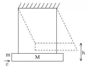 JEE Main 2021 (Online) 16th March Evening Shift Physics - Center of Mass and Collision Question 57 English