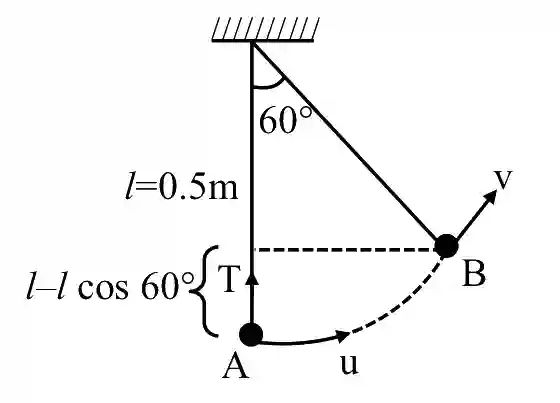 JEE Main 2021 (Online) 25th July Morning Shift Physics - Simple Harmonic Motion Question 74 English Explanation