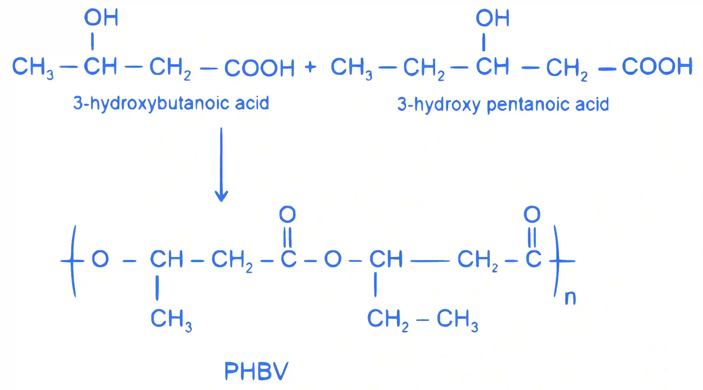 JEE Main 2022 (Online) 24th June Morning Shift Chemistry - Polymers Question 22 English Explanation