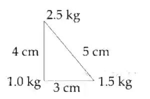 JEE Main 2020 (Online) 7th January Morning Slot Physics - Center of Mass and Collision Question 81 English