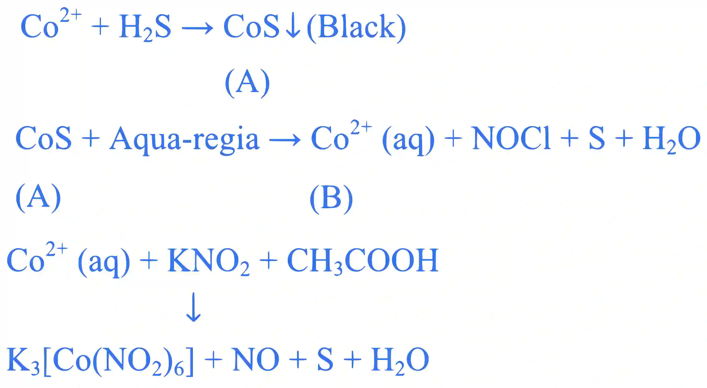 JEE Main 2024 (Online) 9th April Evening Shift Chemistry - Coordination Compounds Question 44 English Explanation