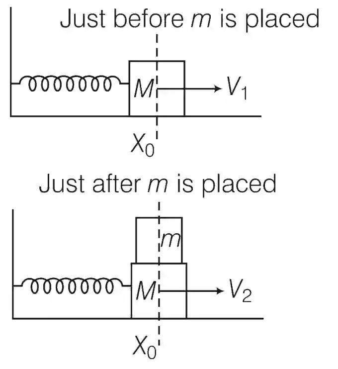 JEE Advanced 2016 Paper 2 Offline Physics - Simple Harmonic Motion Question 19 English Explanation 1