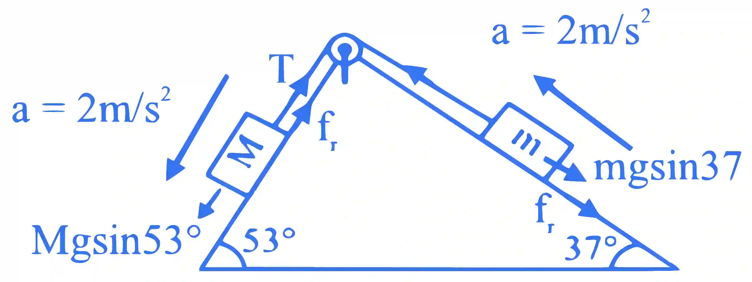 JEE Main 2024 (Online) 31st January Morning Shift Physics - Laws of Motion Question 19 English Explanation