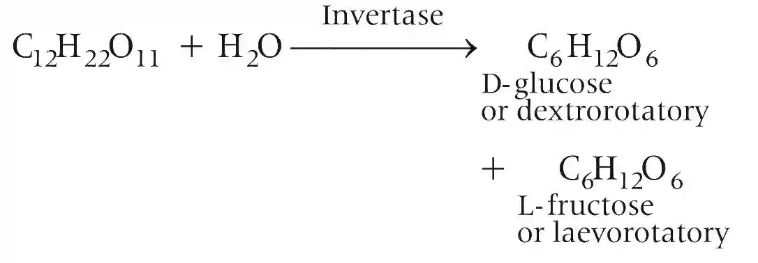 JEE Advanced 2019 Paper 1 Offline Chemistry - Biomolecules Question 17 English Explanation 3