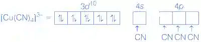 JEE Advanced 2021 Paper 2 Online Chemistry - Coordination Compounds Question 31 English Explanation 11