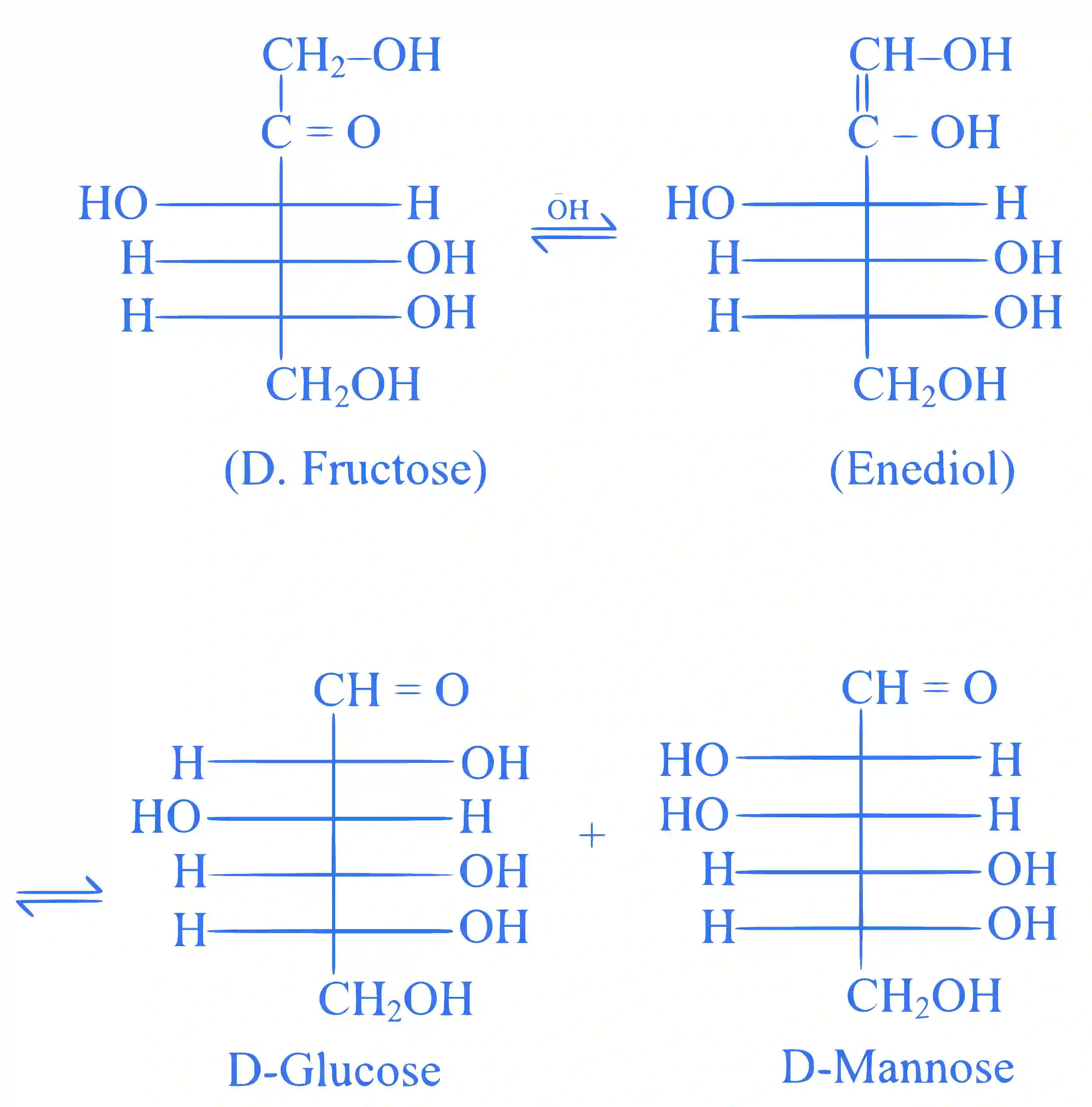 JEE Main 2025 (Online) 23rd January Morning Shift Chemistry - Biomolecules Question 5 English Explanation