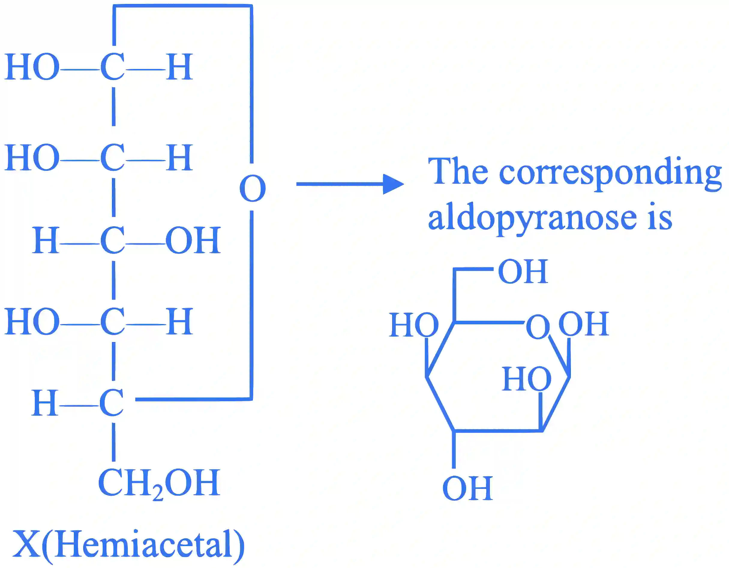 JEE Main 2022 (Online) 28th July Morning Shift Chemistry - Biomolecules Question 60 English Explanation