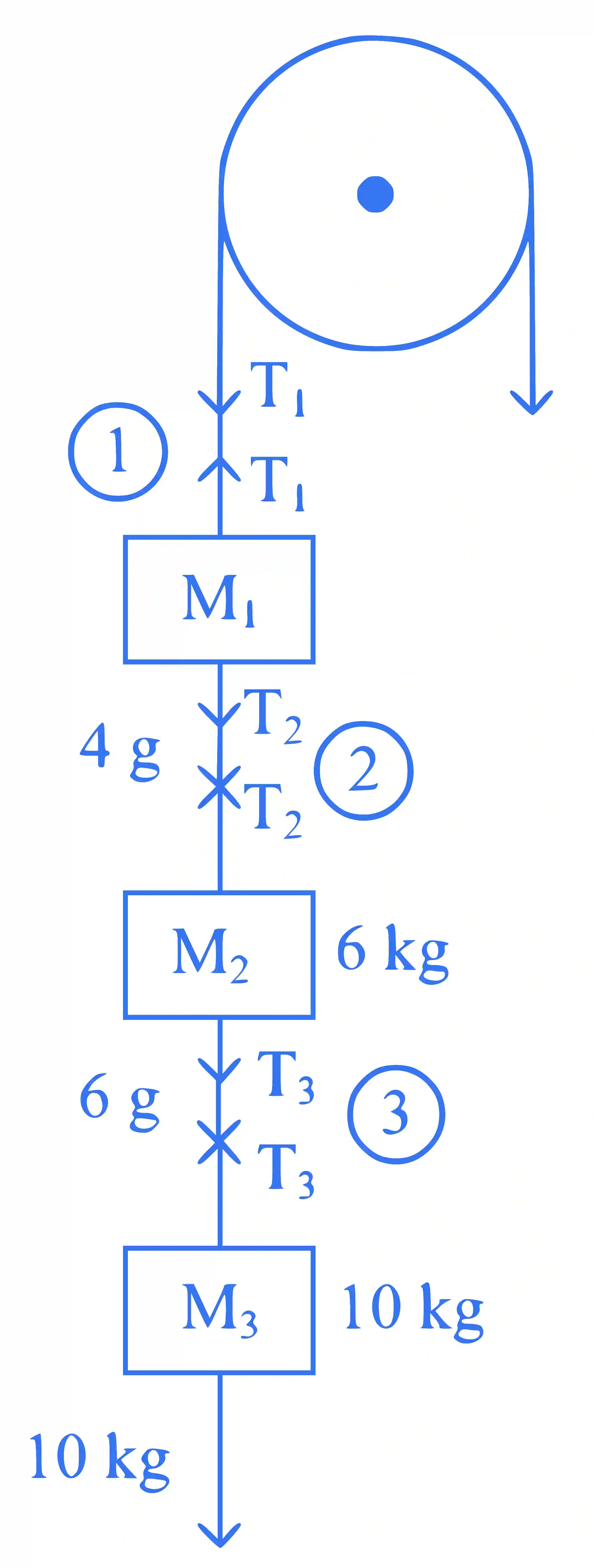JEE Main 2024 (Online) 5th April Morning Shift Physics - Laws of Motion Question 6 English