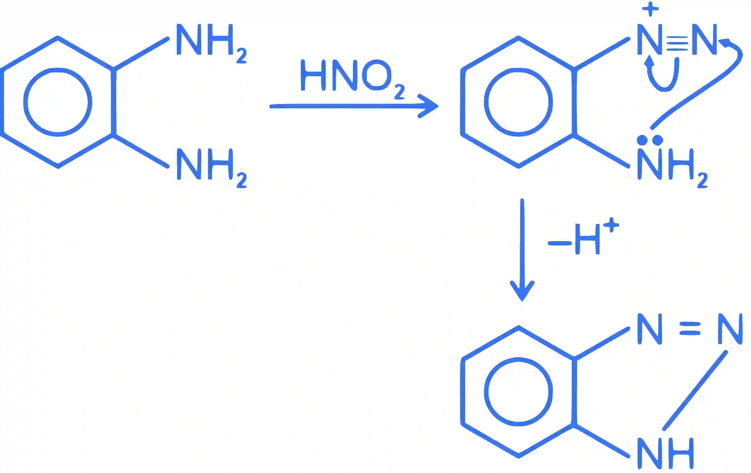 JEE Main 2023 (Online) 11th April Morning Shift Chemistry - Compounds Containing Nitrogen Question 51 English Explanation