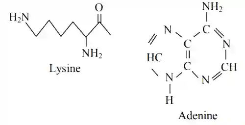 JEE Main 2020 (Online) 4th September Morning Slot Chemistry - Biomolecules Question 116 English Explanation