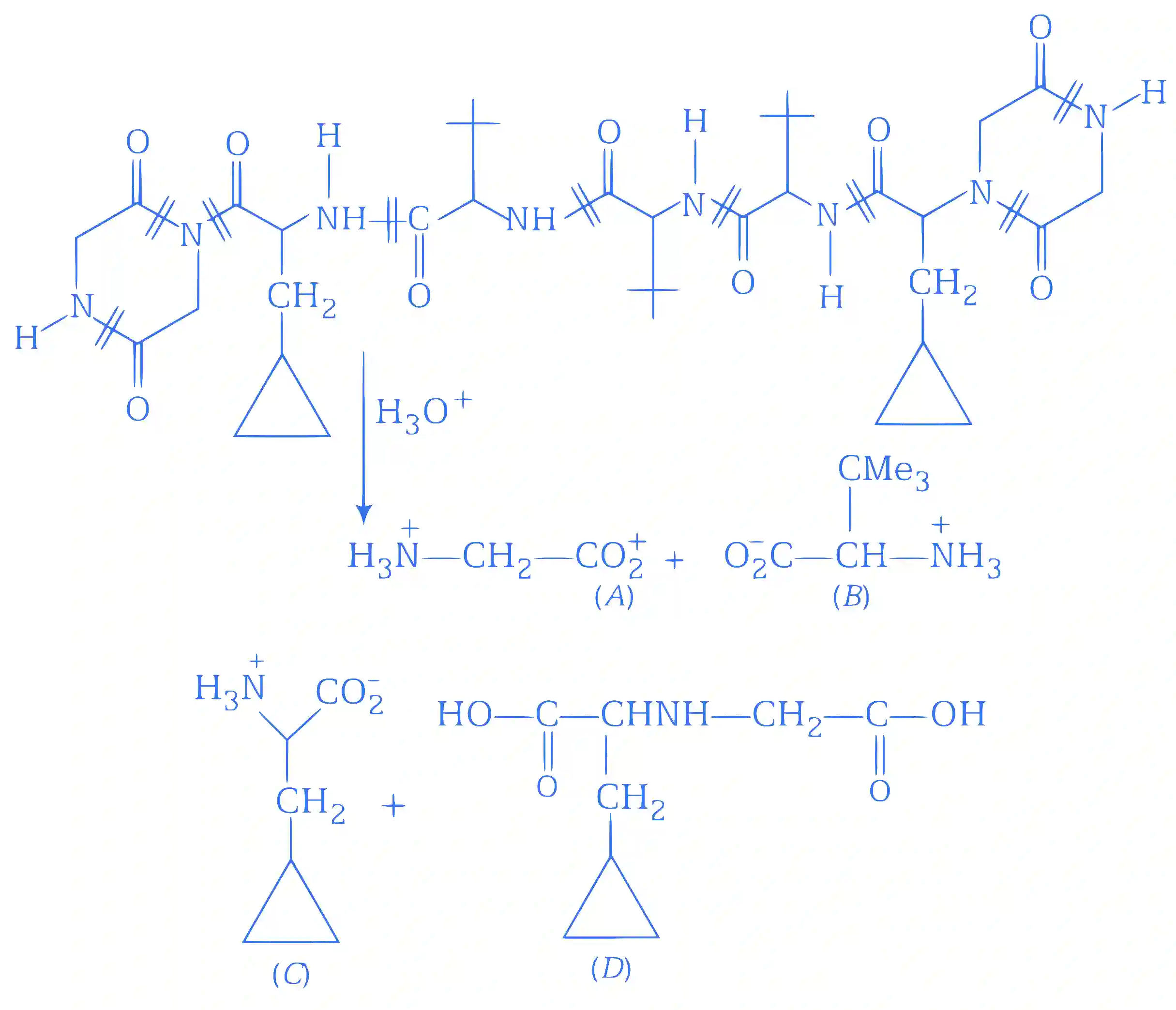 JEE Advanced 2014 Paper 1 Offline Chemistry - Biomolecules Question 14 English Explanation