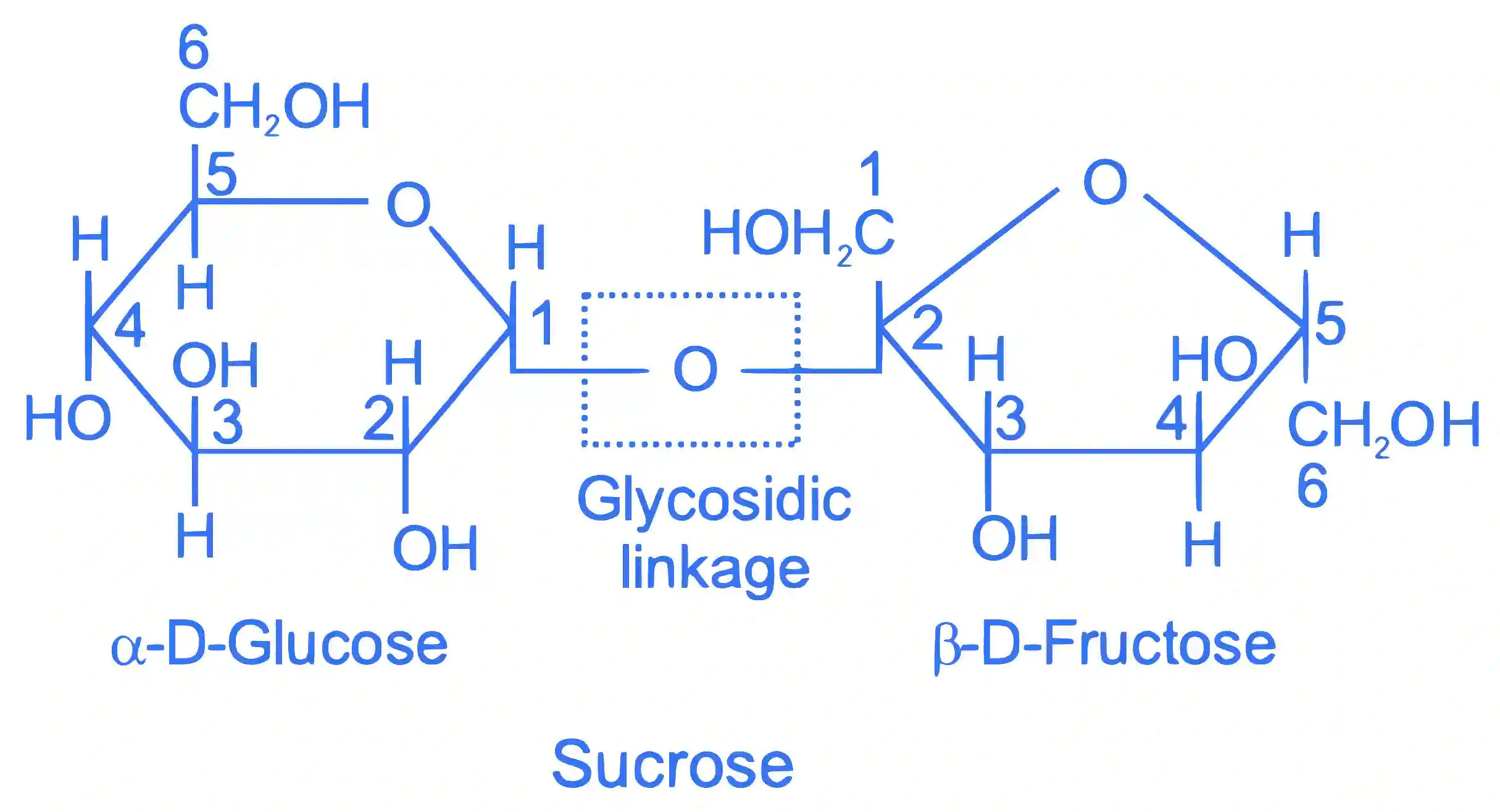 JEE Main 2022 (Online) 25th July Evening Shift Chemistry - Biomolecules Question 66 English Explanation
