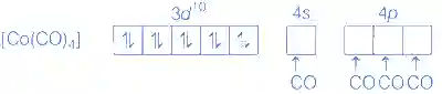 JEE Advanced 2021 Paper 2 Online Chemistry - Coordination Compounds Question 31 English Explanation 6