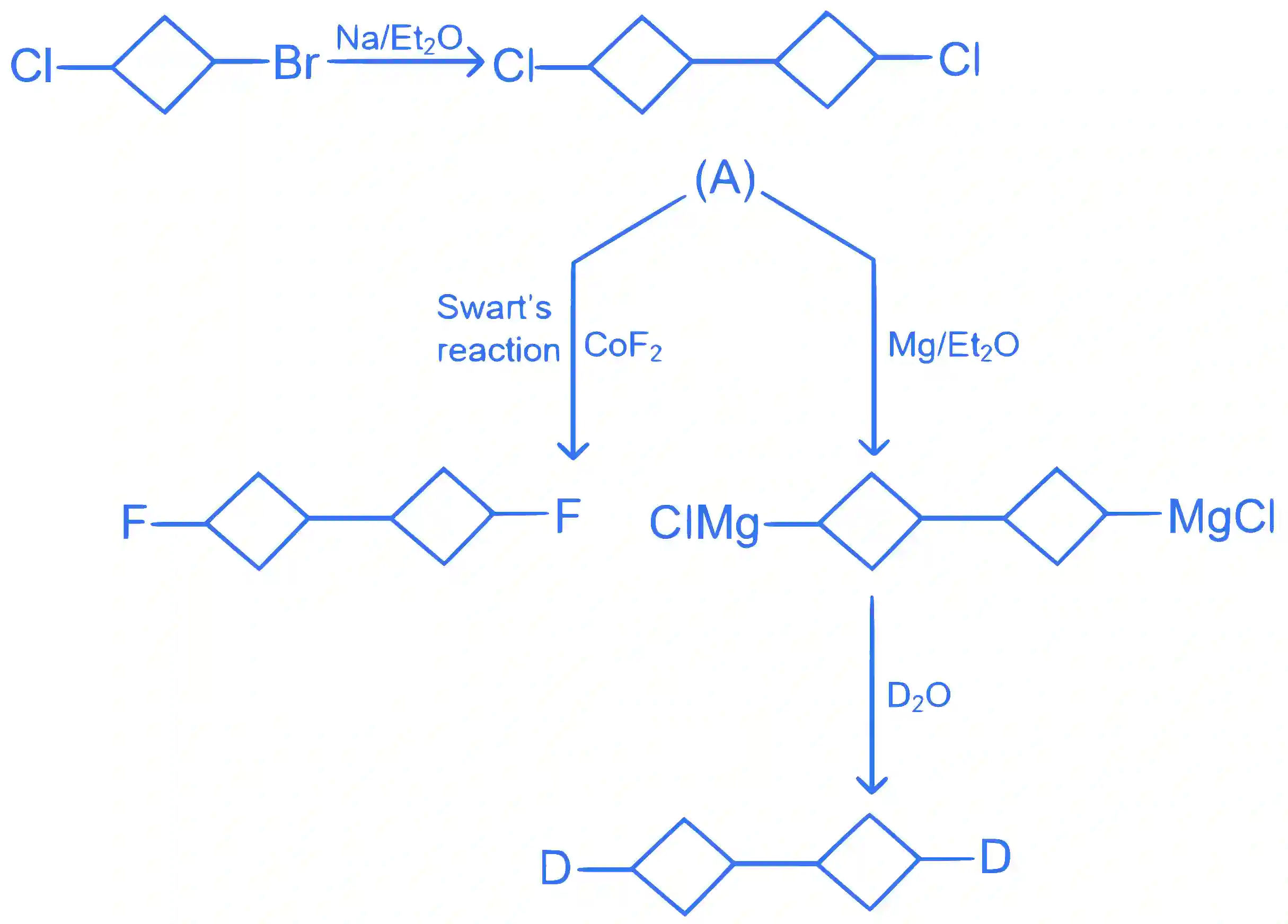 JEE Main 2024 (Online) 9th April Morning Shift Chemistry - Haloalkanes and Haloarenes Question 21 English Explanation