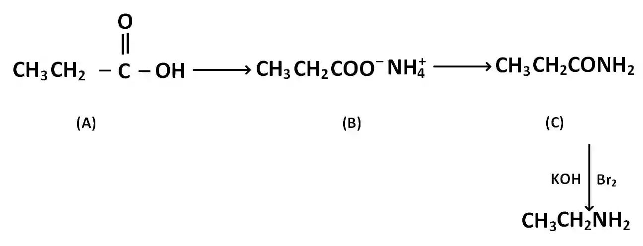 JEE Main 2013 (Offline) Chemistry - Compounds Containing Nitrogen Question 202 English Explanation 2
