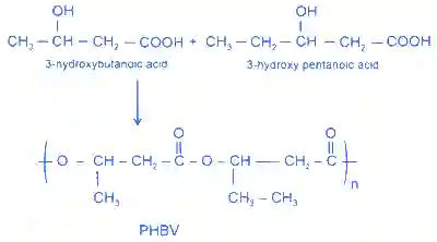 JEE Main 2022 (Online) 24th June Morning Shift Chemistry - Polymers Question 22 English Explanation