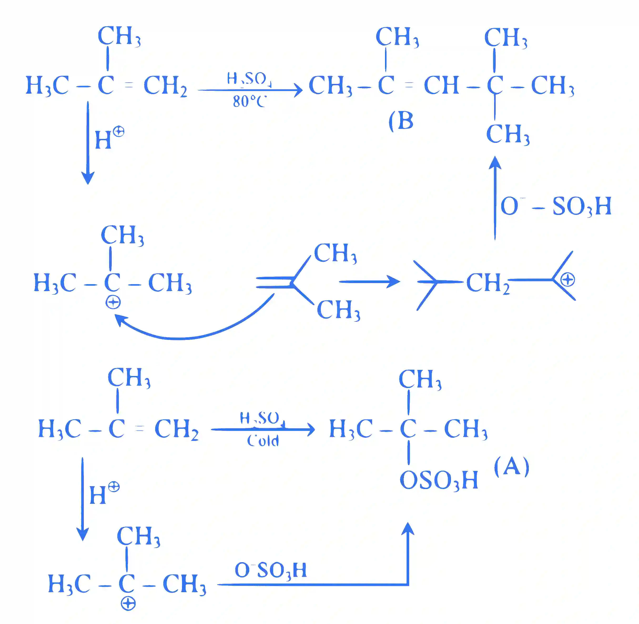 JEE Main 2023 (Online) 30th January Morning Shift Chemistry - Hydrocarbons Question 51 English Explanation