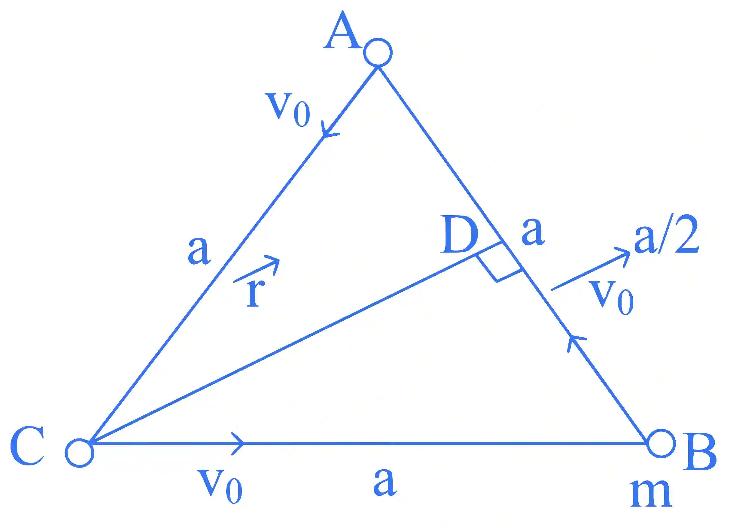 JEE Main 2025 (Online) 29th January Evening Shift Physics - Center of Mass and Collision Question 5 English Explanation