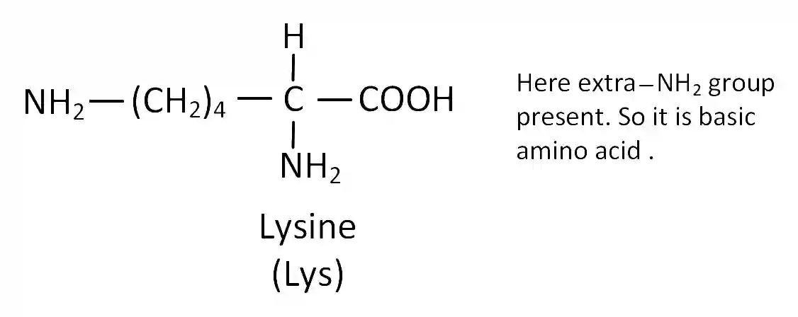 JEE Main 2019 (Online) 9th January Morning Slot Chemistry - Biomolecules Question 141 English Explanation 3