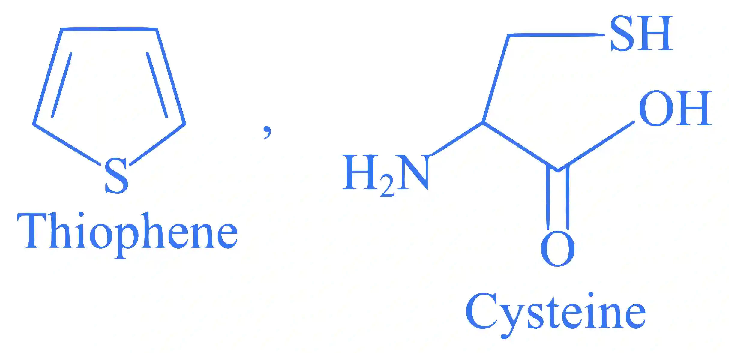 JEE Main 2024 (Online) 29th January Morning Shift Chemistry - Biomolecules Question 27 English Explanation