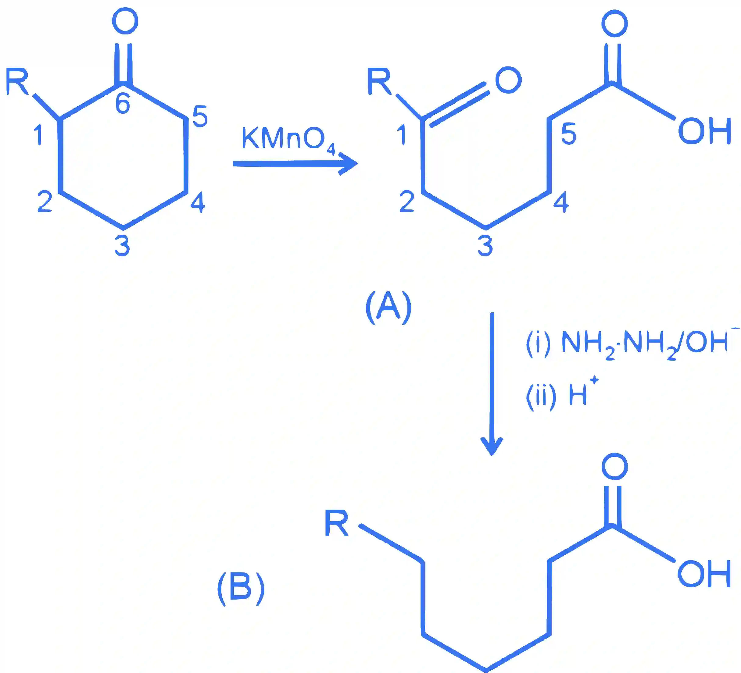 JEE Main 2023 (Online) 11th April Morning Shift Chemistry - Aldehydes, Ketones and Carboxylic Acids Question 49 English Explanation