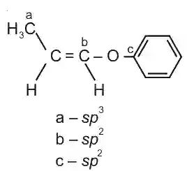 JEE Main 2021 (Online) 18th March Evening Shift Chemistry - Basics of Organic Chemistry Question 151 English Explanation