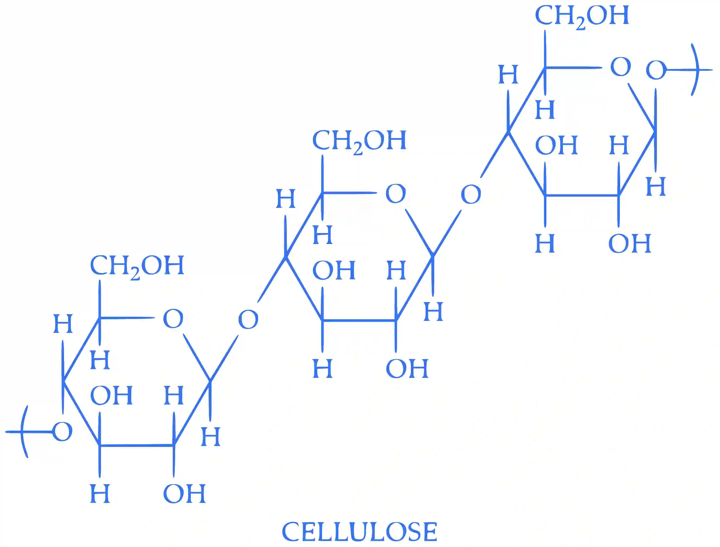 IIT-JEE 2008 Paper 2 Offline Chemistry - Biomolecules Question 3 English Explanation 1