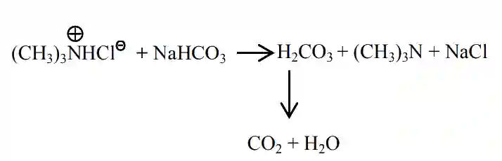 JEE Main 2021 (Online) 25th July Morning Shift Chemistry - Aldehydes, Ketones and Carboxylic Acids Question 121 English Explanation