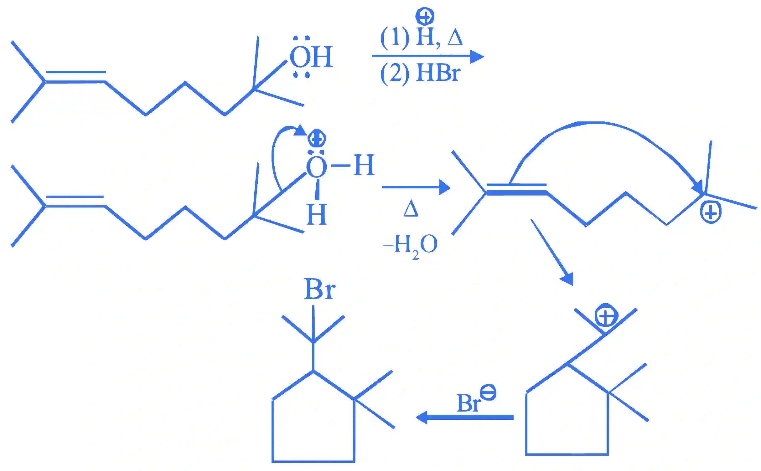 JEE Main 2022 (Online) 28th July Evening Shift Chemistry - Haloalkanes and Haloarenes Question 59 English Explanation
