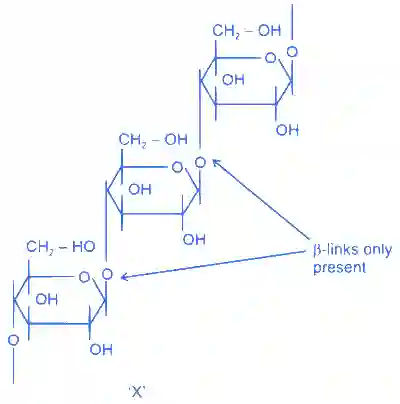 JEE Main 2022 (Online) 24th June Morning Shift Chemistry - Biomolecules Question 69 English Explanation